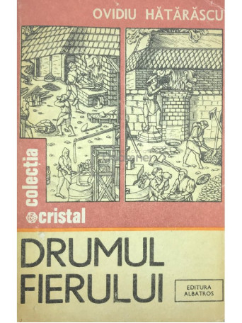 Ovidiu Hatarascu - Drumul fierului - 1985 - Brosata