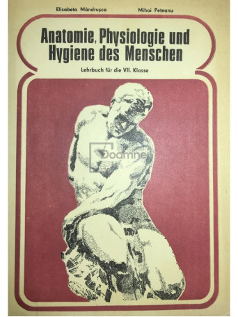 Anatomie, Physiologie und Hygiene des Menschen