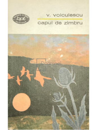 Capul de zimbru