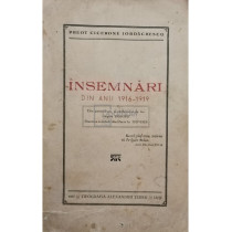 Insemnari din anii 1916 - 1919 (semnata)