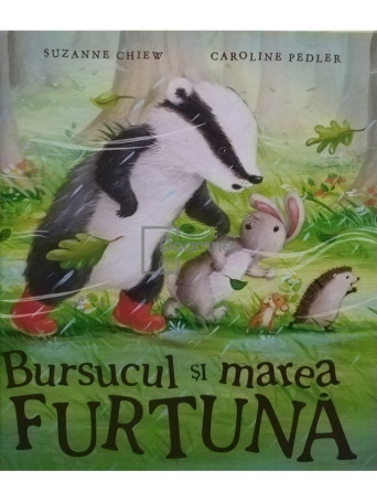 Bursucul si marea furtuna