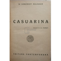 Casuarina