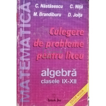 Culegere de probleme pentru liceu. Algebra, clasele IX - XII