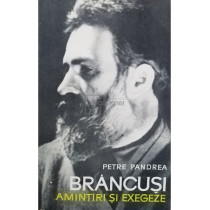 Brancusi. Amintiri si exegeze