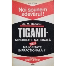 Tiganii - minoritate nationala sau majoritate infractionala?