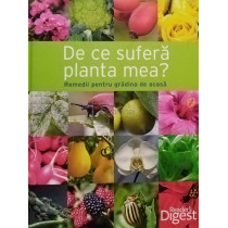 De ce sufera planta mea?