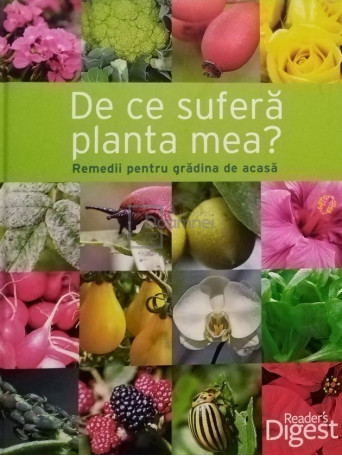 De ce sufera planta mea?