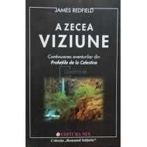 A zecea viziune