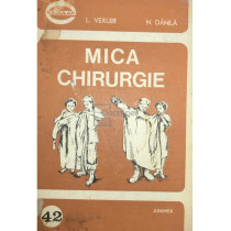 Mica chirurgie