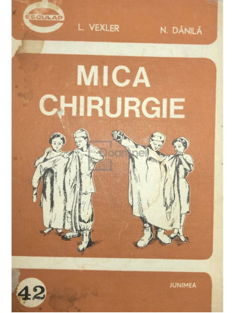 Mica chirurgie