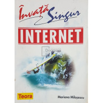 Invata singur internet