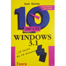 10 minute - Windows 3.1