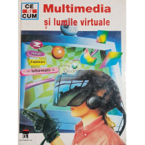 Multimedia si lumile virtuale