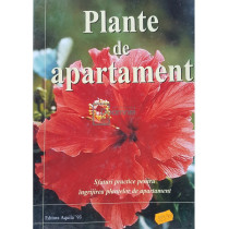 Plante de apartament