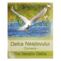 Delta Neajlovului