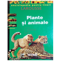 Plante si animale