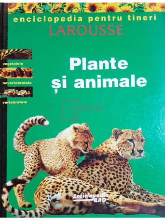 Plante si animale