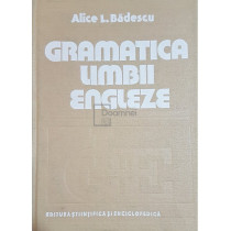 Gramatica limbii engleze