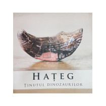 Hateg - Tinutul dinozaurilor