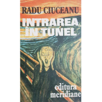 Intrarea in tunel - Memorii, vol. 1