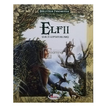 Elfii si alti luptatori-magi