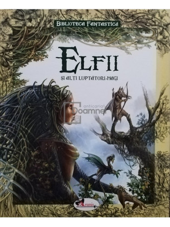 Elfii si alti luptatori-magi