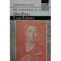 Pe urmele lui Stefan Luchian