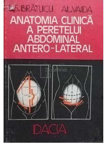 Anatomia clinica a peretelui abdominal antero-lateral