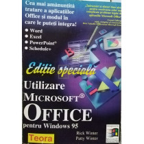 Utilizare Microsoft Office pentru Windows 95