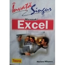 Invata singur Microsoft Excel