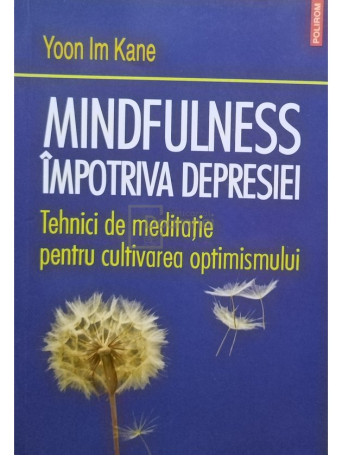 Mindfulness impotriva depresiei