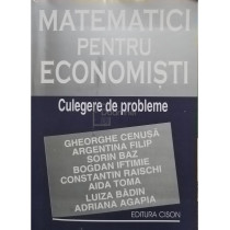 Matematici pentru economisti