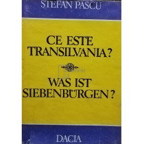 Ce este Transilvania?