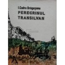 Peregrinul transilvan