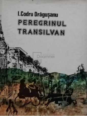 Peregrinul transilvan