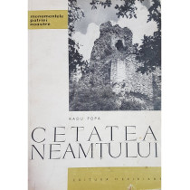 Cetatea Neamtului