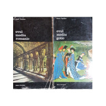 Arta occidentului, 2 vol. - Evul mediu romanic, evul mediu gotic