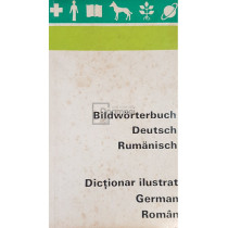 Dictionar ilustrat german-roman