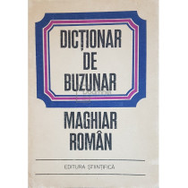 Dictionar de buzunar maghiar-roman