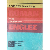 Mic dictionar roman-englez