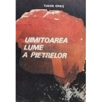 Uimitoarea lume a pietrelor