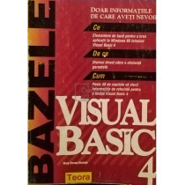 Bazele Visual Basic 4