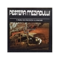 Pestera Meziadului