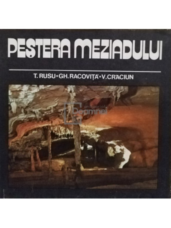 Pestera Meziadului