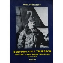 Destinul unui zburator - Capitanul aviator Mircea T. Badulescu