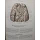 Atlas de anatomie umana, vol. 3 (Limba rusa)