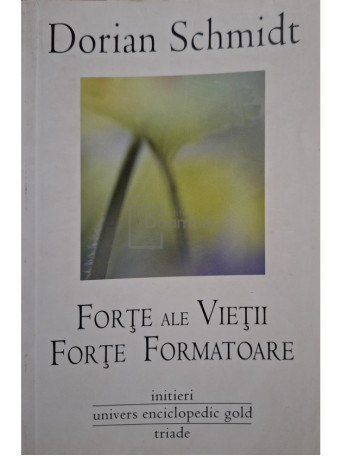 Dorian Schmidt - Forte ale vietii. Forte formatoare - 2011 - Brosata