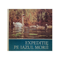 Expeditie pe iazul morii