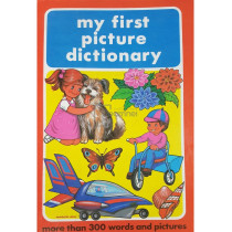 My first picture dictionary