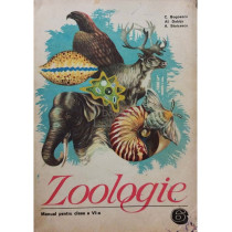 Zoologie - Manual pentru clasa a VI-a